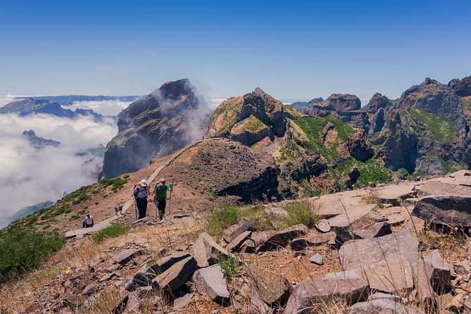Full Day East of Madeira Tour - Ribeiro Frio and Balcões: levadas, trout, and UNESCO Laurissilva