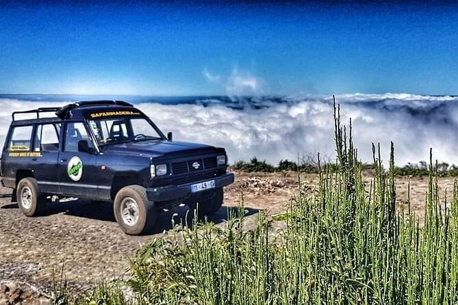 Full Day Jeep Safari East - Pico do Areeiro - Santana - Ponta de são Lourenço - Price and what you should budget for a full day