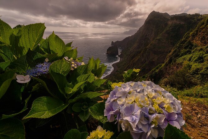 Full Day Madeira Island Tour - Open Roof - Ponta do Sol to Porto Moniz: the volcanic story keeps unfolding