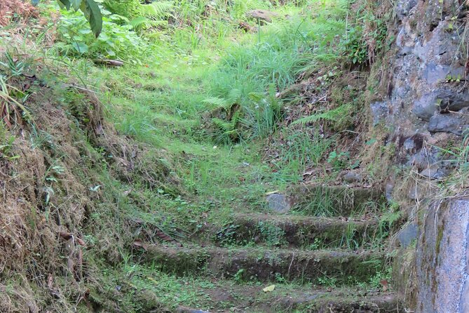Full Day Private 4x4 Adventure in Madeira - Paul da Serra and higher plateaus: when the scenery changes temperature