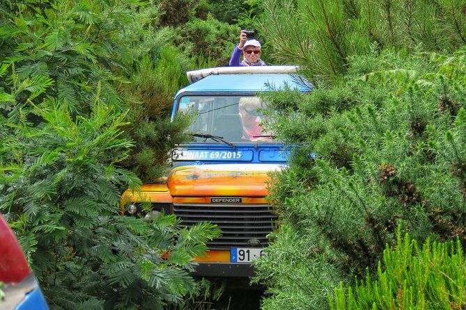 Full Day Private 4x4 Tour in West Madeira with Local Guide - Price, Group Size, and What You Get for $505
