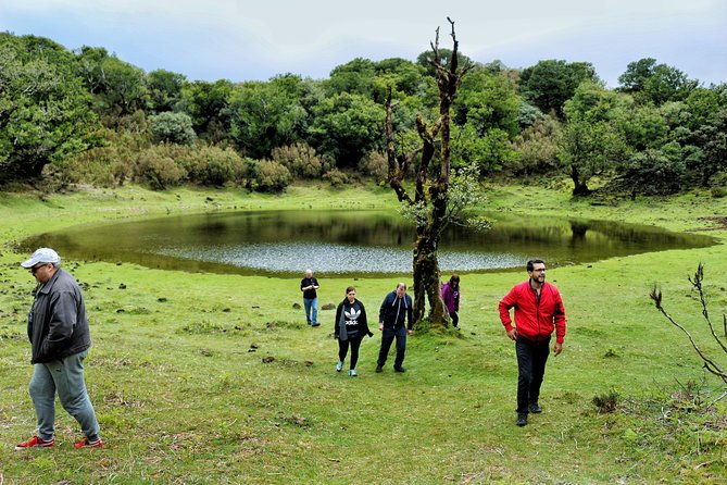 Full Day Private 4x4 Tour in West Madeira with Local Guide - Porto Moniz Natural Pools: Volcanic Swimming with Small Fees