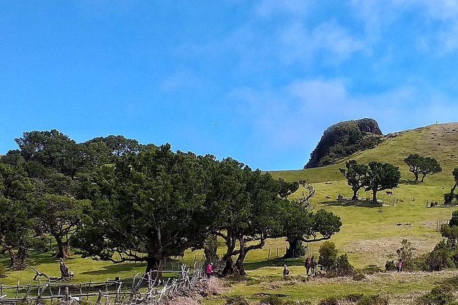 Full-Day Small Group Jeep Safari Tour from Funchal - Should You Book This Full-Day Jeep Safari from Funchal?