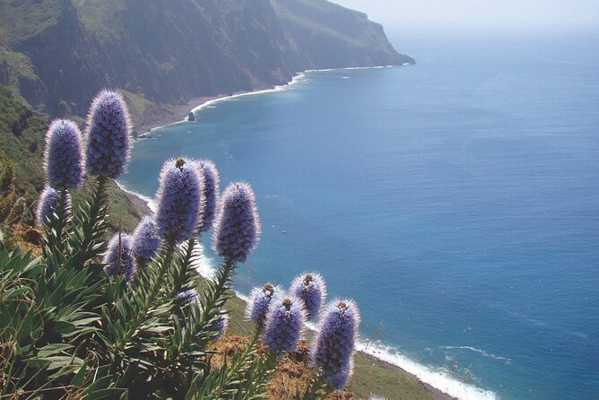 Full Day Tour of the West Zone of Madeira - Cabo Girão viewpoint: pay €1.50 for the perspective