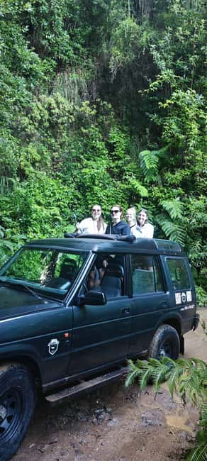 Funchal: 4WD Experience Skywalk to Seixal Porto Moniz, Fanal - Who this 8-hour Madeira 4WD tour fits best