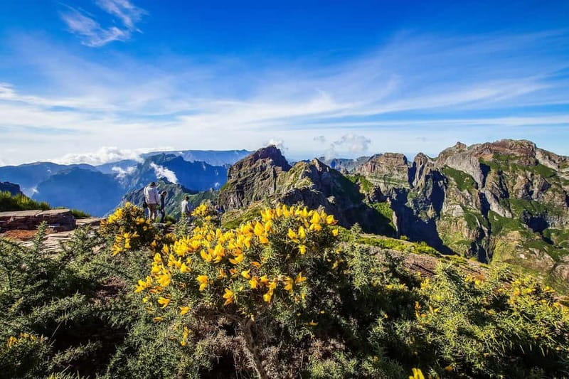 Funchal: 4x4 Jeep Trip to the East and Northeast of Madeira - 4x4 Jeep Route: East and Northeast Madeira in One Day