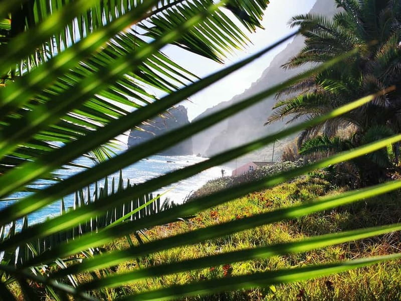 Funchal: 4x4 Jeep Trip to the East and Northeast of Madeira - Santana Houses, Faial Skywalk, and Miradouro Stops