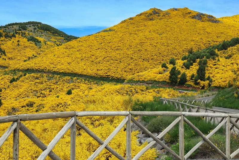 Funchal: 4x4 Jeep Trip to the East and Northeast of Madeira - Should You Book This 4x4 East and Northeast Madeira Trip?