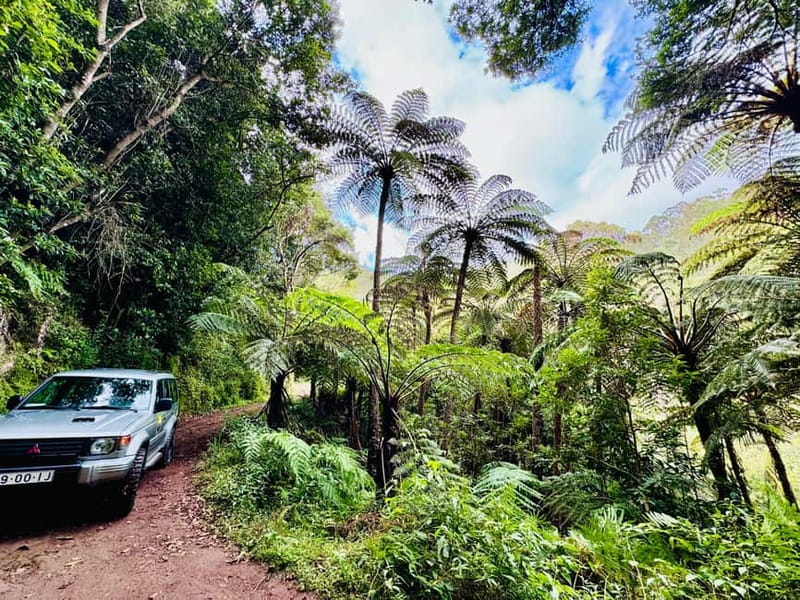 Funchal: 4x4 Jeep Trip to the East and Northeast of Madeira - Pico do Arieiro (1,818 m) and Ribeiro Frio: When the Timing Makes the Difference