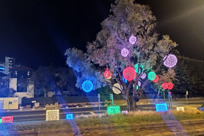Funchal Christmas lights sightseeing night tour - Price and Time: What You’re Really Paying For