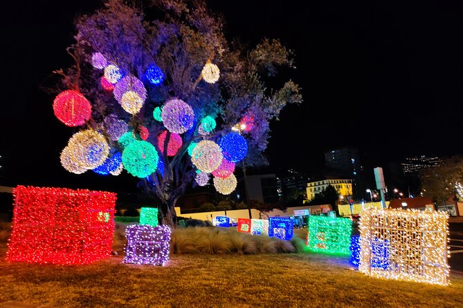 Funchal Christmas lights sightseeing night tour - Pickup and Getting There: Smooth for Hotels and Cruise Ships