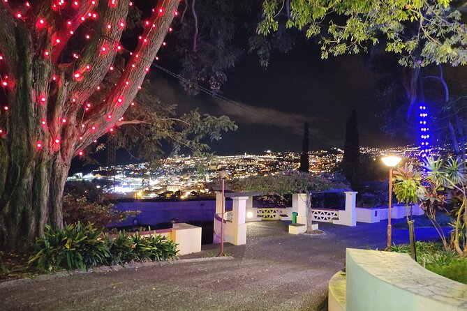 Funchal Christmas lights sightseeing night tour - What’s Not Included (And How to Plan Around It)