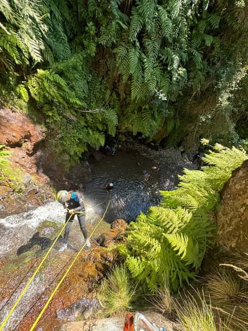 Funchal: Explore Canyoning Level 1 Rochão - Key things that make Rochão Level 1 worth your time