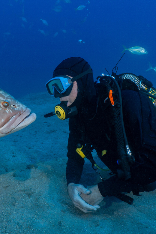 Funchal: Garajau national park - certified divers - Small-group attention: why limit of 6 is more than a number