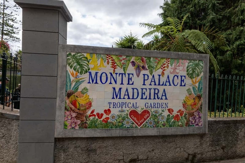 Funchal: Guided Tuk Tuk Tour to Toboggan Rides & Old Town - Marmeleiros viewpoint: the quick photo and reset stop
