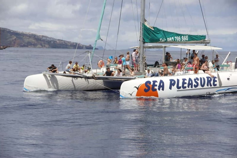 Funchal:Hop-on Hop-off Bus & Whale & Dolphin boat Excursion - The 48-Hour Hop-on Hop-off Bus Pass in Funchal (and on to Câmara de Lobos)