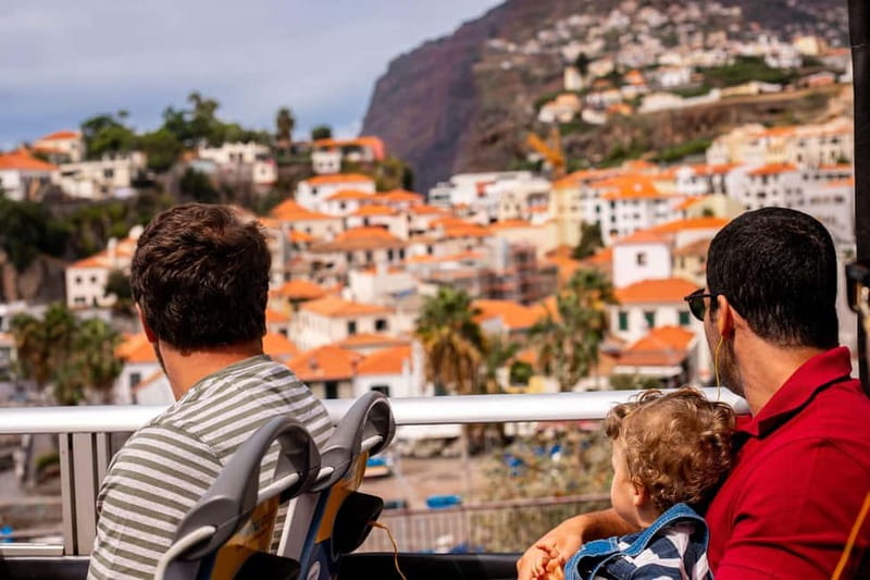 Funchal:Hop-on Hop-off Bus & Whale & Dolphin boat Excursion - VMT Catamaran Whale & Dolphin Watching: views, spotting, and the swim break