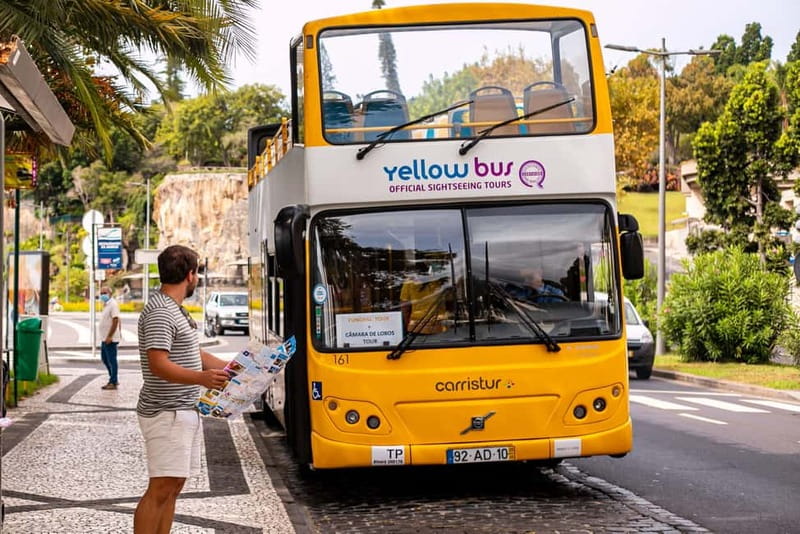 Funchal:Hop-on Hop-off Bus & Whale & Dolphin boat Excursion - Bordal Embroideries Factory: a practical culture win
