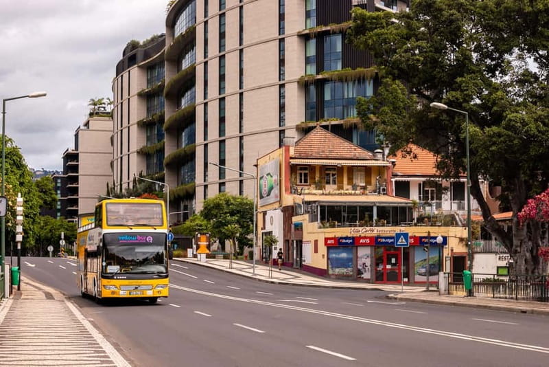 Funchal:Hop-on Hop-off Bus & Whale & Dolphin boat Excursion - Smart planning for your 2-day schedule (without overstuffing)