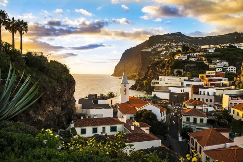 Funchal:Hop-on Hop-off Bus & Whale & Dolphin boat Excursion - Should you book the Funchal Bus + Whale & Dolphin Catamaran combo?