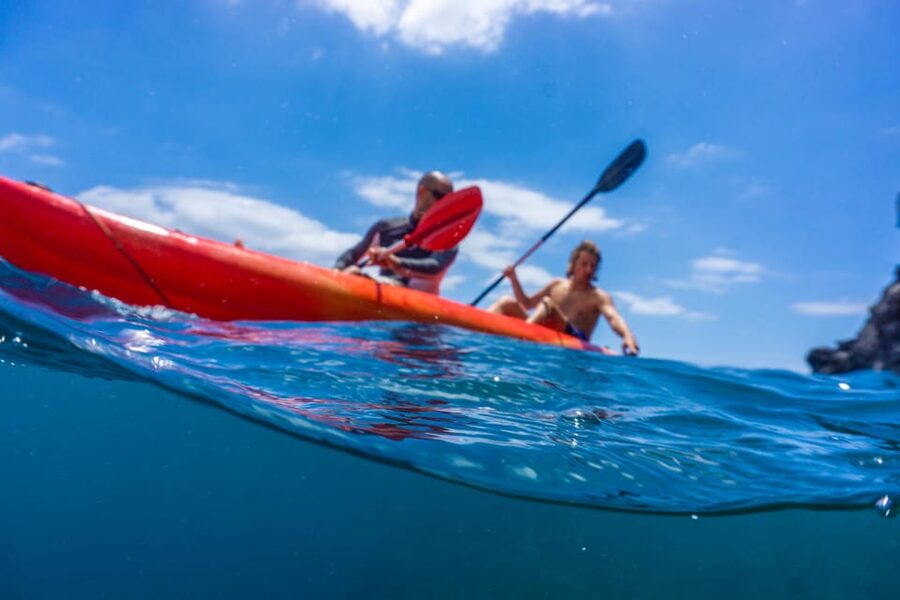 Funchal: KAYAK Rental or Guided tour with snorkeling - Key Things I’d Plan Around