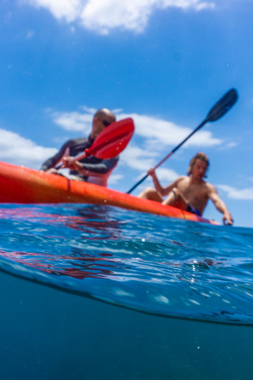 Funchal: KAYAK Rental or Guided tour with snorkeling - Small Group Energy: Better Instructions, Less Waiting