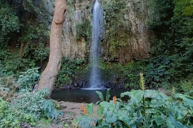 Funchal: Pico do Arieiro to Santana and Ponta de Sao Lorenco - A small-group jeep day that actually feels like Madeira