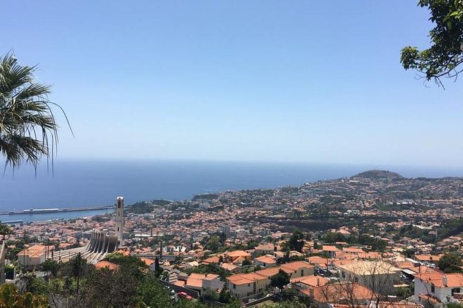 Funchal Private Transfers Service to Madeira Airport - Key things to know before you go