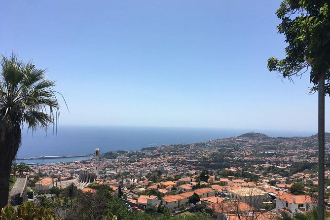 Funchal Private Vehicle Service with Driver for a Half Day or Full Day - Half day vs full day: choosing your time wisely (and km limits)