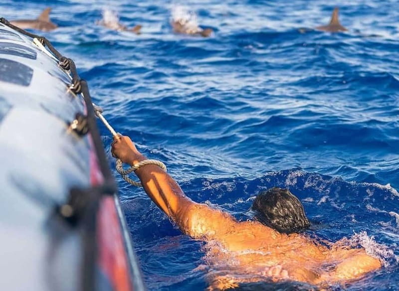 Funchal: Whale Watching and Swimming with Dolphins Cruise - Spotters on Land: How the Crew Finds Where the Action Is