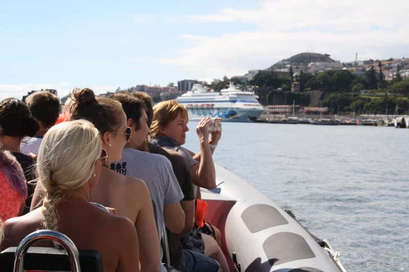 Funchal: Whale Watching and Swimming with Dolphins Cruise - The Boat Setup: Fast, Semi-Rigid, and Built for Searching