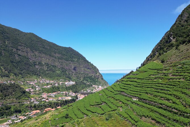 Guided 4x4 Adventure and Skywalk with Wine and Tapas in Madeira - Price and value: how $66.08 becomes a full Madeira day