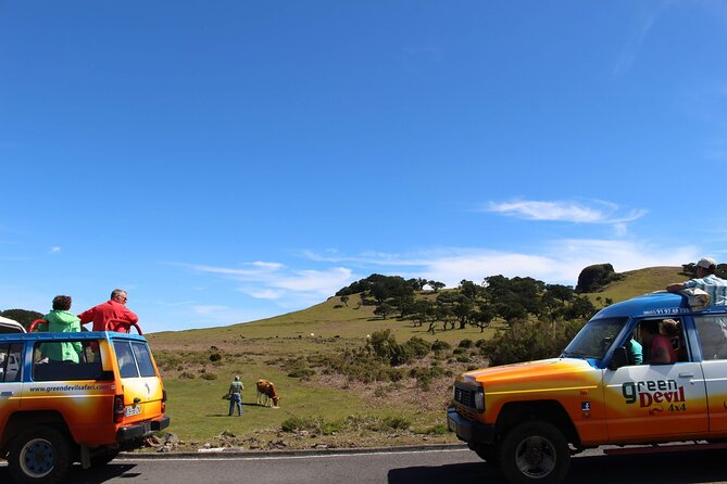 Guided Exploration of Southwest Madeira in a 4x4 - Paul da Serra Plateau: Pico Ruivo Views and the Levada Do Paul Walk