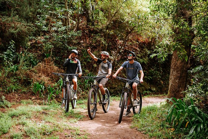 Guided Tour Electric Mountain Bike Experience - Key points to know before you go