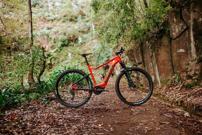 Guided Tour Electric Mountain Bike Experience - Getting from Funchal up to Poiso (1412 m) by minibus