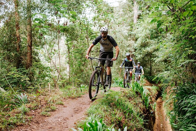 Guided Tour Electric Mountain Bike Experience - Your bike choice: KTM Macina Ride 291 with Bosch power