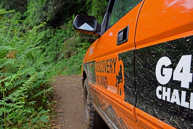 Half Day Jeep Safari Tour at Pico Areeiro and Santo da Serra - Price and logistics: what you’re paying for (and what to watch)