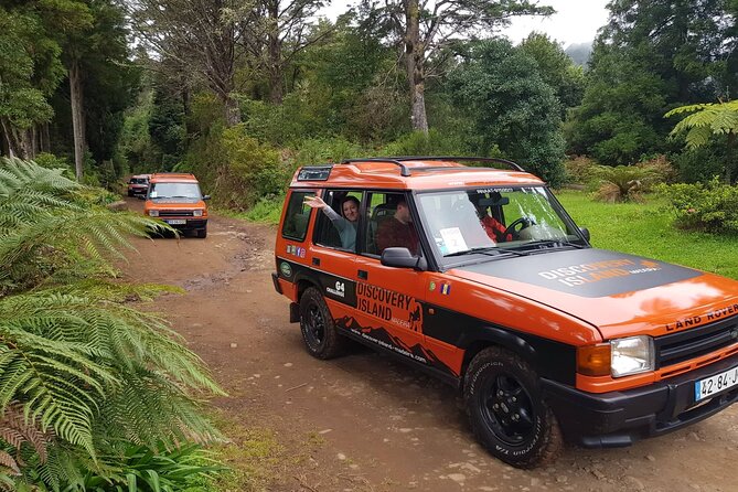 Half Day Jeep Safari Tour at Pico Areeiro and Santo da Serra - Guides make the difference: Beto, Carlos, Michael, Miguel, and Gil