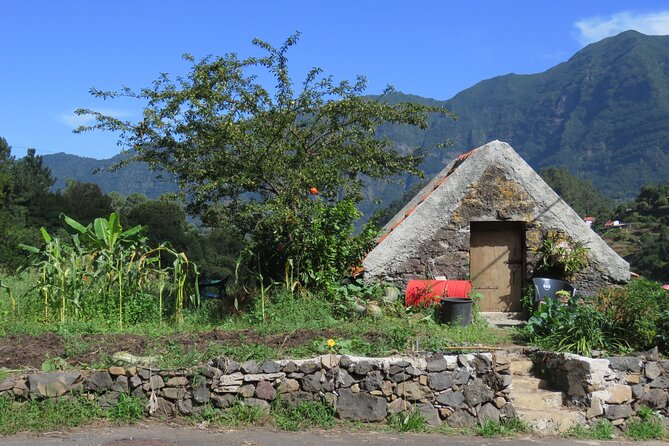 Half day jeep Wine tour and tasting, & sea cliff adventure - Quinta do Barbusano wine tasting: what’s included and what to expect