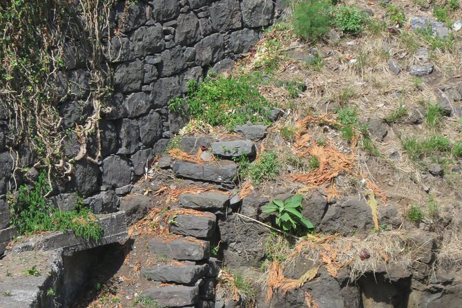 Half day jeep Wine tour and tasting, & sea cliff adventure - Comfort, motion, and timing: the practical stuff that changes your day