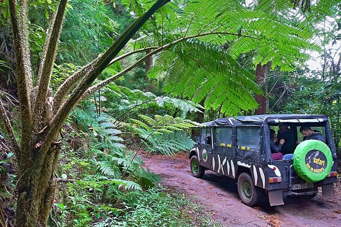 Half-Day Small-Group Madeira Village Safari from Funchal - Madeira Safari Time: Why This Half-Day Plan Works from Funchal