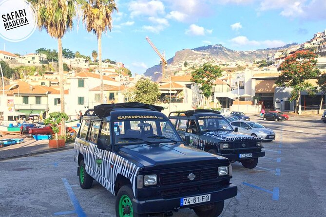 Half-Day Small-Group Madeira Village Safari from Funchal - Stop 2: Cabo Girão Skywalk—Worth It, But Budget the Ticket