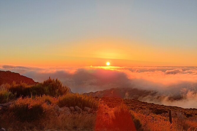 Half day Tour From 0 To 1818 Meters To Pico Do Arieiro Sunrise - Price and value check: $57.62 per person