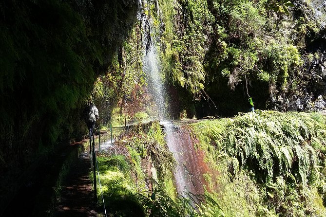Hike in Laurisilva Levada do Rei - Madre of Life small Group guided walk - Why the North-to-South Levada do Rei Walk Feels So Worth It