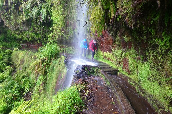 Hike in Laurisilva Levada do Rei - Madre of Life small Group guided walk - The Full Day Rhythm: Pickup to the About-4-Hour Levada Section