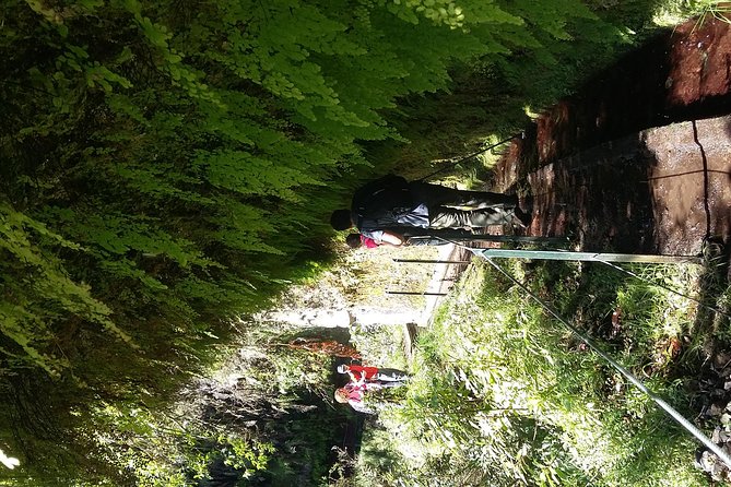 Hike in Laurisilva Levada do Rei - Madre of Life small Group guided walk - What to Bring and Wear for All-Weather Hiking