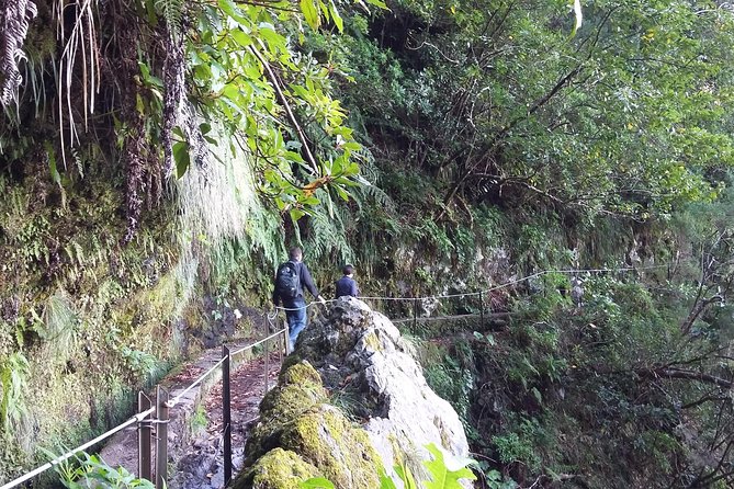 Hike in Laurisilva Levada do Rei - Madre of Life small Group guided walk - Booking Tips: Pickup Zones, Early Planning, and the €3 Tax