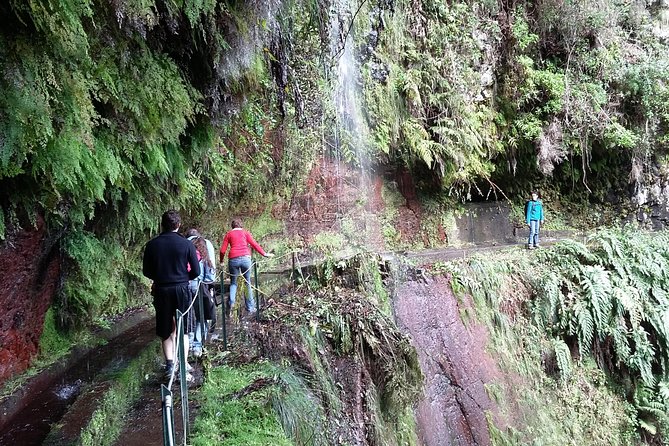 Hike in Laurisilva Levada do Rei - Madre of Life small Group guided walk - Should You Book This Levada do Rei Small-Group Hike?