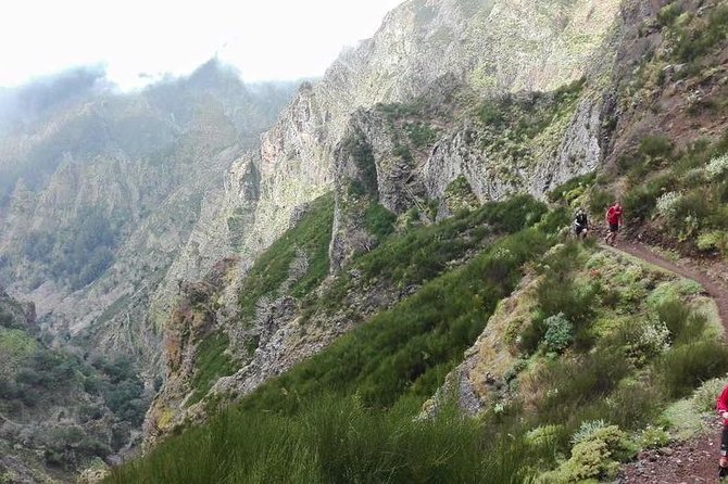 Hike Larano, Boca do Risco Porto da Cruz Levada in a small group - Meeting point, timing, and how to plan your morning