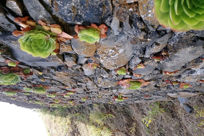 Hike Larano, Boca do Risco Porto da Cruz Levada in a small group - FAQ